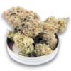 Biscotti Cookies Exotic Strain